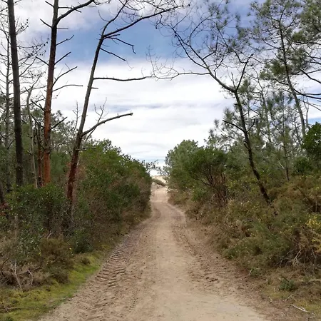 Mh 007 Elite 3 Dont Parentale Et 2 Salles De Bain Sur Magnifique Parcelle Dans 4 Etoiles Kemp *